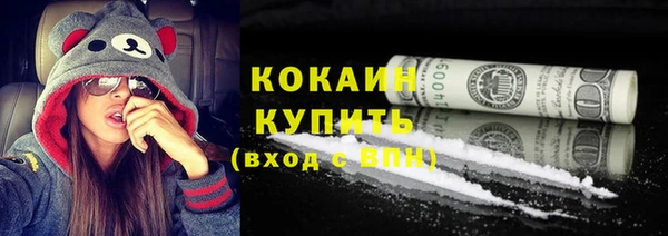 шишки Богородицк