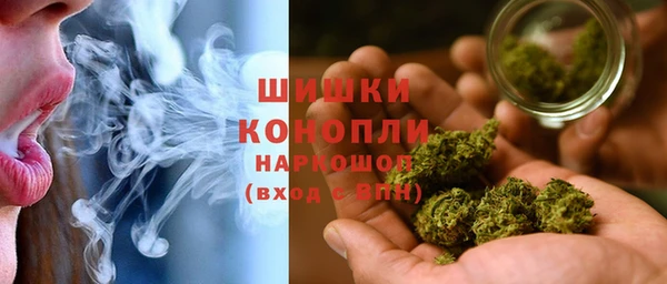 шишки Богородицк