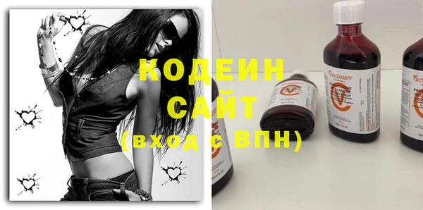 шишки Богородицк