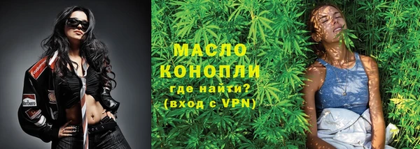 шишки Богородицк