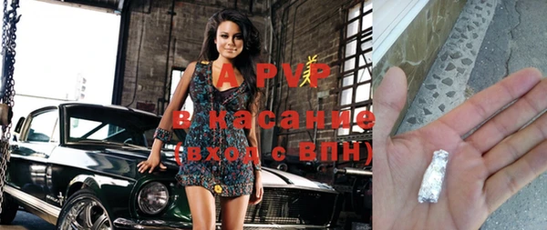 шишки Богородицк
