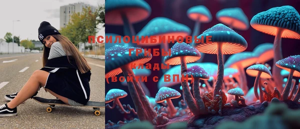 трава Белокуриха