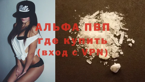 шишки Богородицк