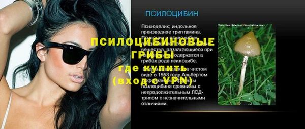 ALPHA PVP Богданович