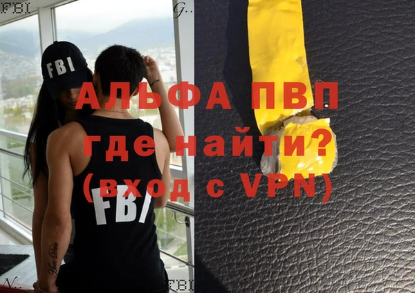 шишки Богородицк