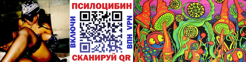kraken зеркало  Карпинск  Галлюциногенные грибы Psilocybe 